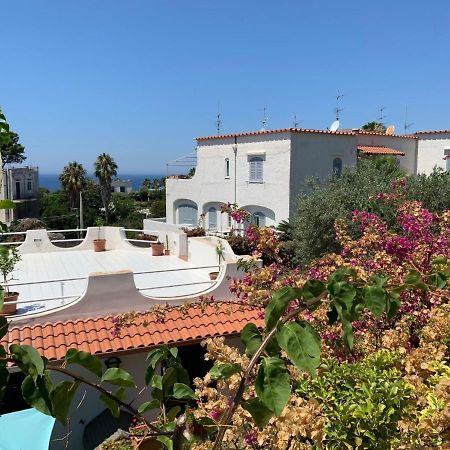 Apartment Ponente By Interhome Forio di Ischia 外观 照片