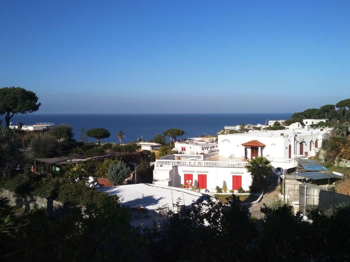 Apartment Ponente By Interhome Forio di Ischia 外观 照片