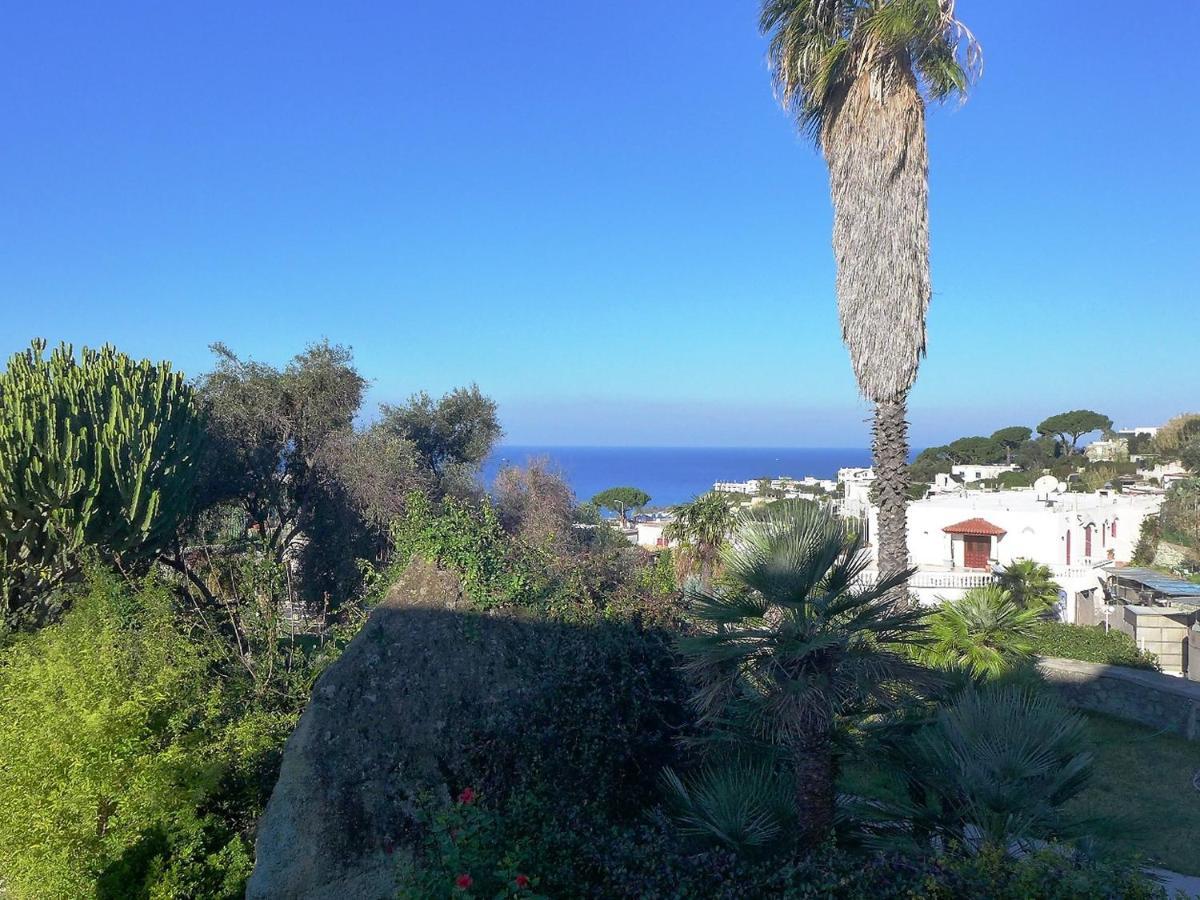 Apartment Ponente By Interhome Forio di Ischia 外观 照片